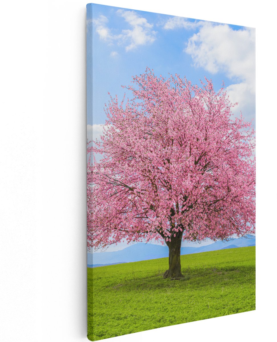 Artaza Canvas Schilderij Roze Sakura Bloesem Boom In Het Groene Veld - 120x180 cm - Groot - Wanddecoratie Woonkamer - Schilderijen - Muurdecoratie
