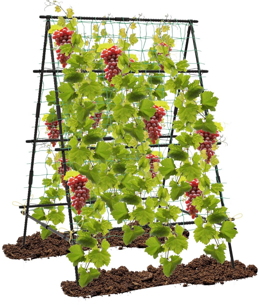 SureDeal® - Tuinier - Vormige Komkommer Klimrek - Tuinnet - Plantenclips Metalen Plantenhouder - 130x105x151 cm - Zwart