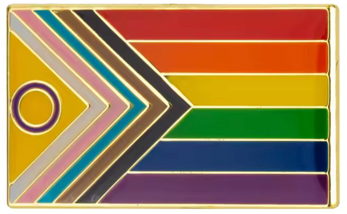 Regenboog Pin - Pride Speldje - LGBT broche - 2,5/1,5CM - Regenboog sierraad - 1 stuk - CHPN