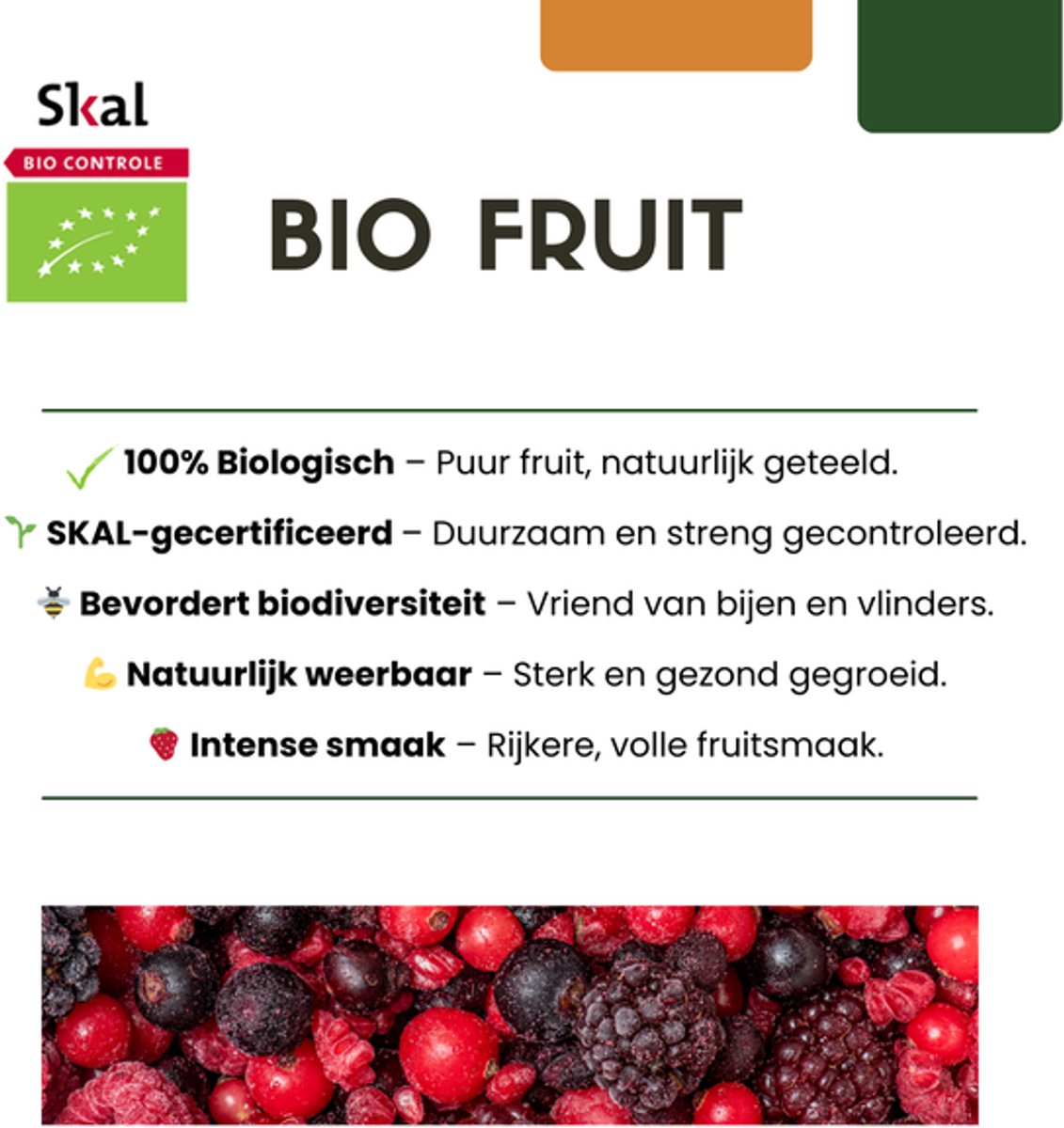 6 x Biologische Kruisbessenplanten - Ø 13 cm - ↨ 20 cm