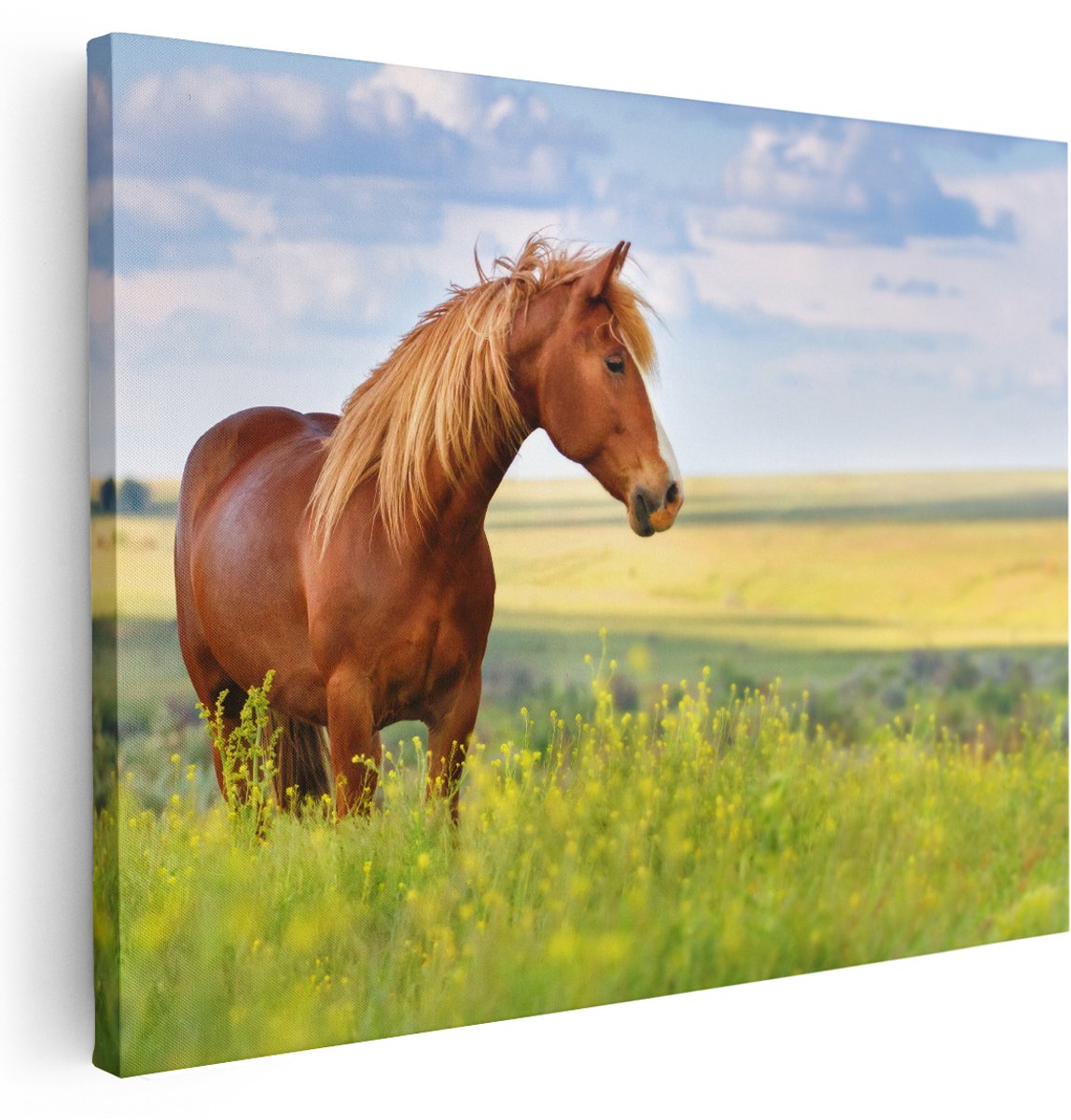 Artaza Canvas Schilderij Bruin Paard In De Wei - 160x120 cm - Groot - Wanddecoratie Woonkamer - Schilderijen - Muurdecoratie