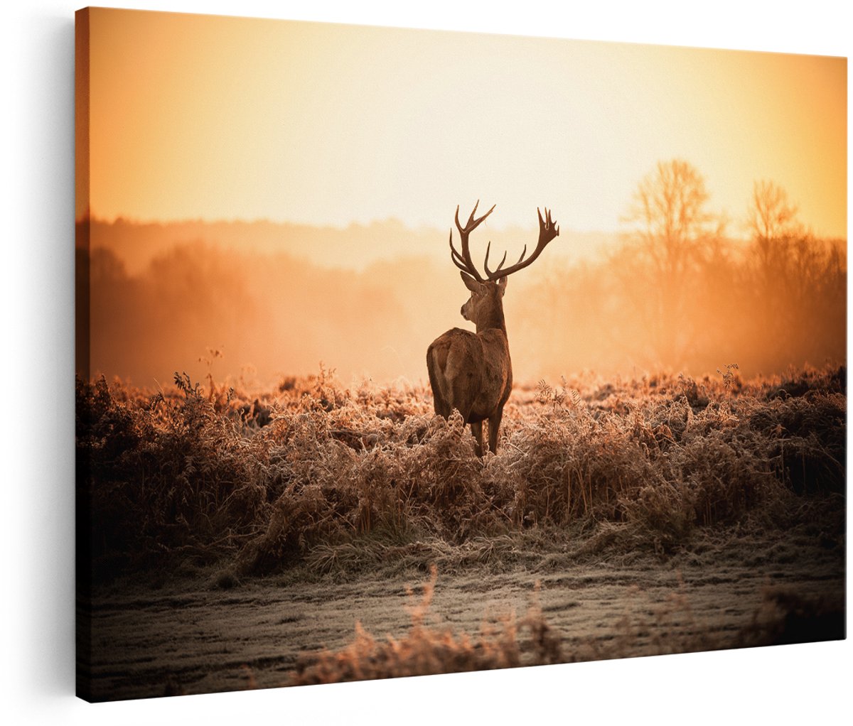 Artaza Canvas Schilderij Hert In De Wei Tijdens De Zonsopkomst - 180x120 cm - Groot - Wanddecoratie Woonkamer - Schilderijen - Muurdecoratie