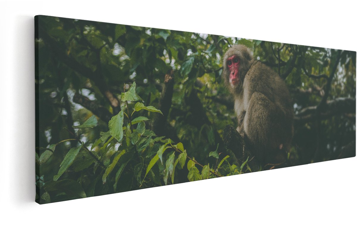 Artaza Canvas Schilderij Aap In De Boom Tussen De Bladeren - 150x50 cm - Groot - Wanddecoratie Woonkamer - Schilderijen - Muurdecoratie