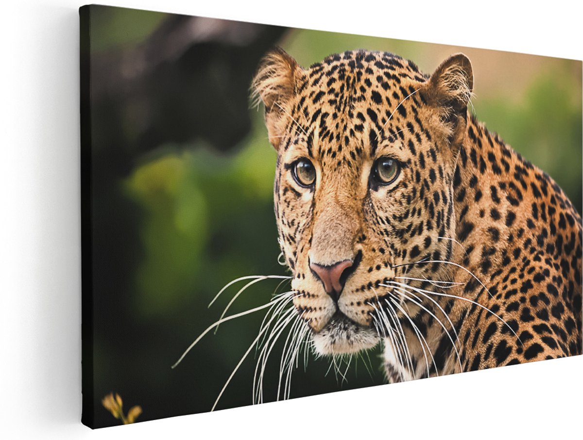 Artaza Canvas Schilderij Luipaard Van Dichtbij - 140x70 cm - Groot - Wanddecoratie Woonkamer - Schilderijen - Muurdecoratie