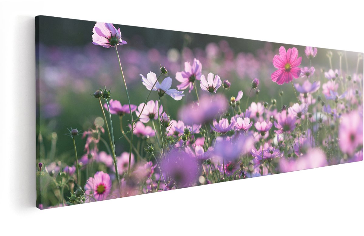 Artaza Canvas Schilderij Bloemenveld Met Paarse Kosmos - 150x50 cm - Groot - Wanddecoratie Woonkamer - Schilderijen - Muurdecoratie