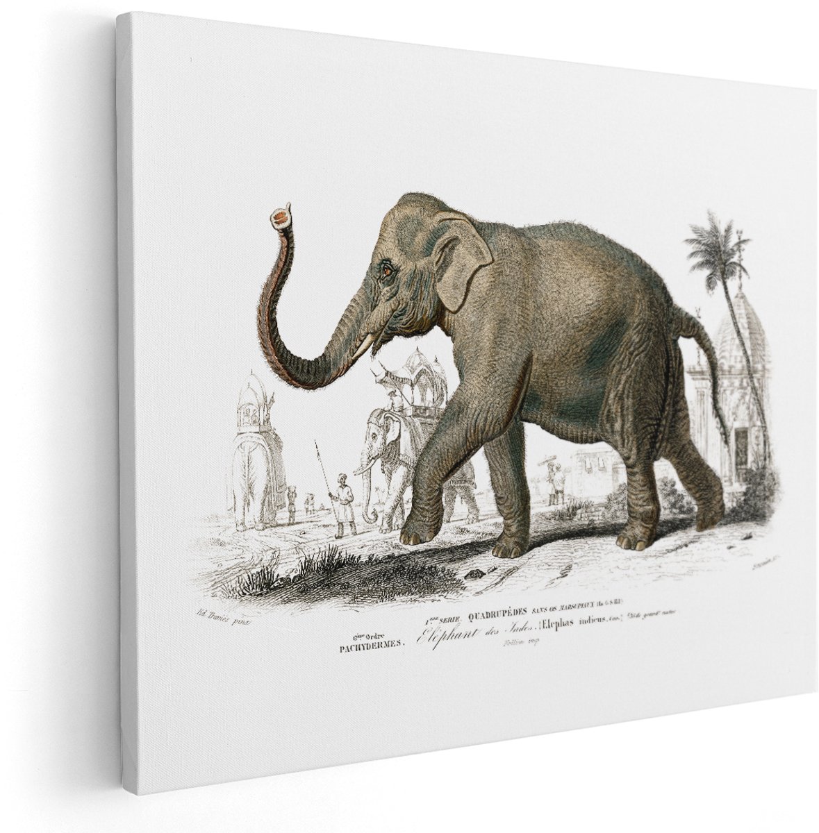 Artaza Canvas Schilderij Olifant - 150x120 cm - Groot - Wanddecoratie Dieren - Muurdecoratie Vintage - Decoratie India Tempel - Schilderijen Op Canvas