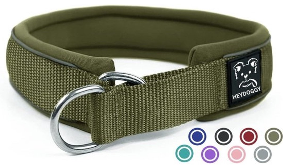 Comfortabele Hondenhalsband met Neopreen Voering en Reflectie - 4cm Breed
