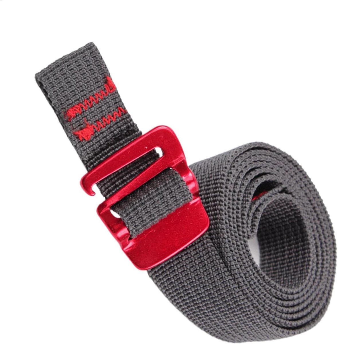 Gespen Riemen - Nylon Touwbanden - Bagage Vastzetten - Quick Release - 2x 150 cm - Zwart