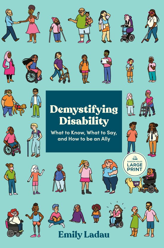 Demystifying Disability - cover