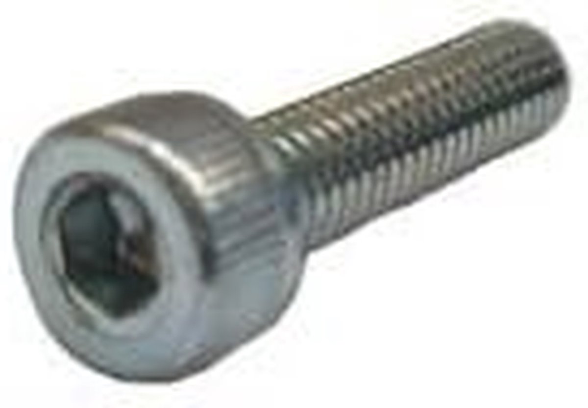 Cilinderkopschroeven - Inbus Schroeven - Bevestigen van Materialen - Verzinkte Staalkwaliteit - M16x100 25 Stuks - Zilverkleurig