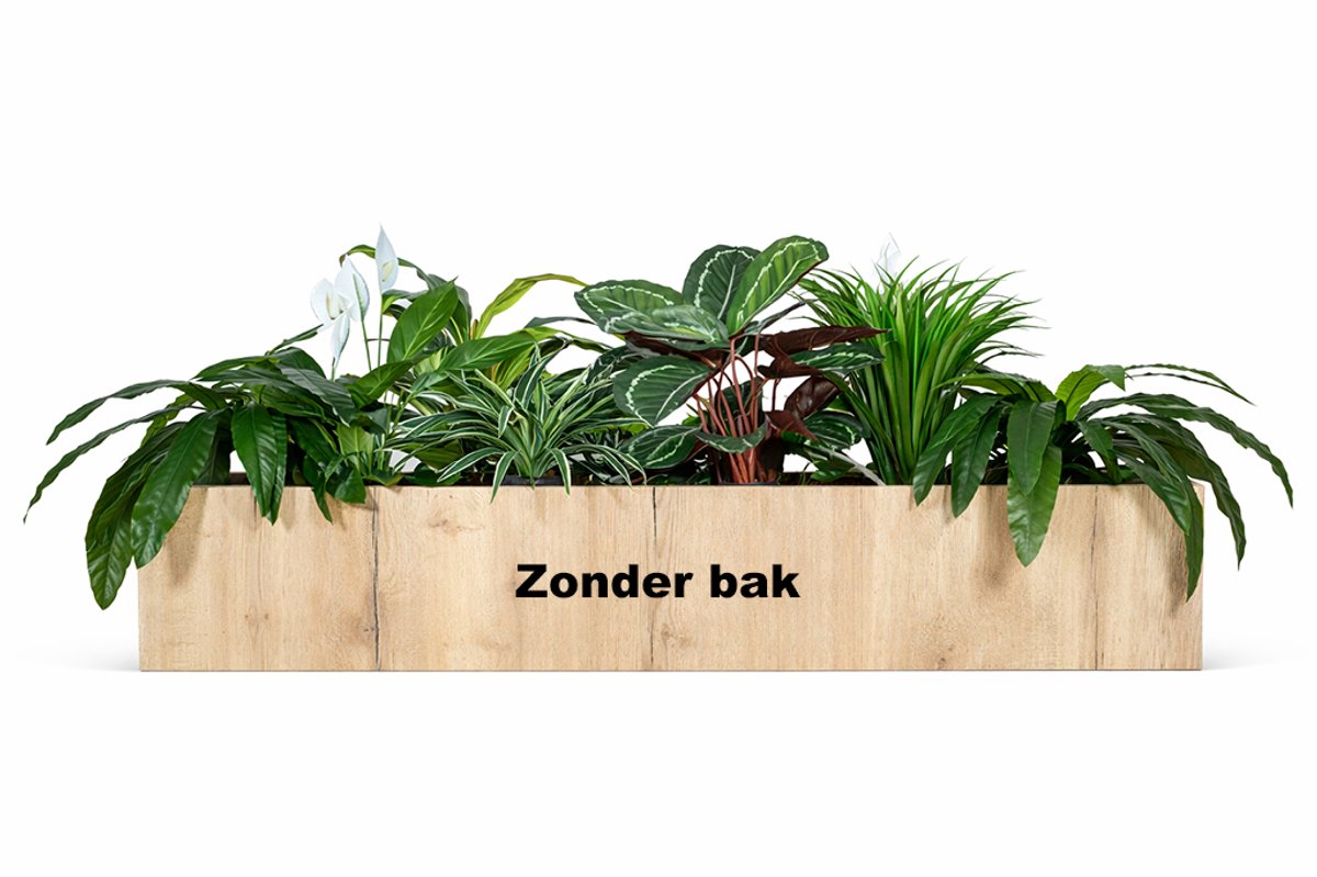 HTT Decorations Kunstplantenpakket Enkhuizen (t.b.v. kast 160 cm breed)