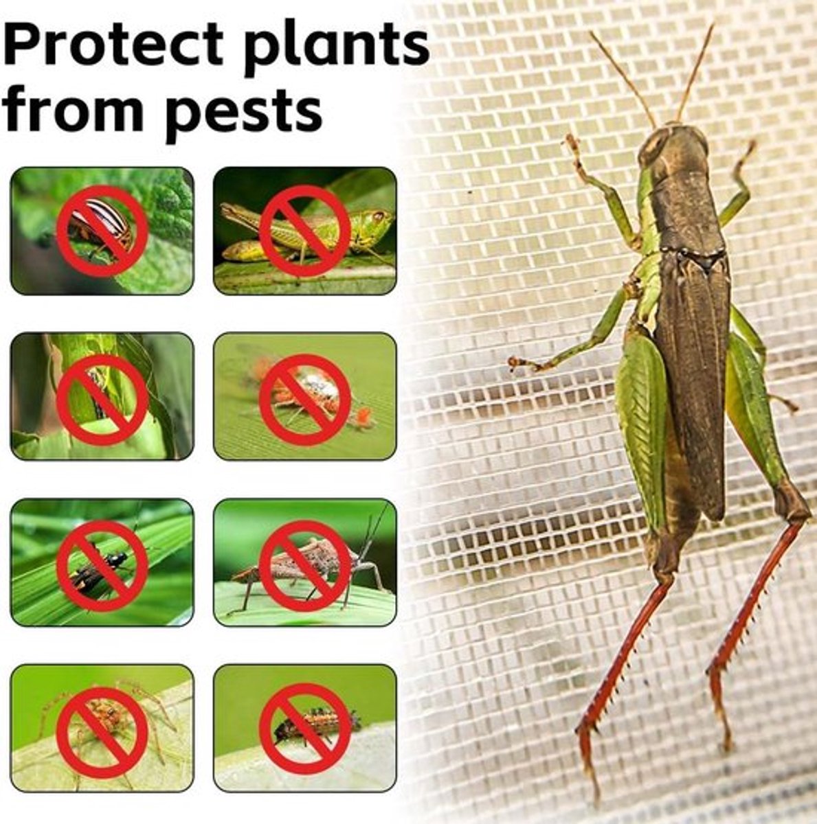 Insectengaas 25x10m Inovra Plus voor tuin broeikas