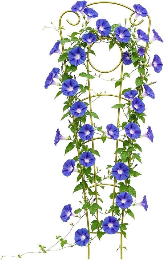 Tuinlatwerk - Klimplantsteun - Planten Ondersteunen - Roestvrije Constructie - 76 cm - Zwart