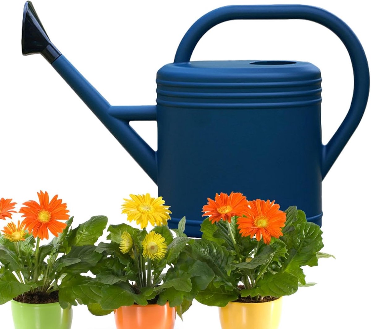 Gieter Binnen - Waterkoker Planten - Planten Water Geven - Lange Nauwkeurige Uitloop - 5 Liter Capaciteit - Blauw