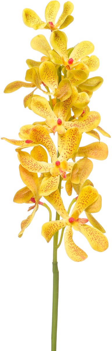 Emerald Kunstbloem Vanda RT 80cm geel - Kunstplant voor binnen