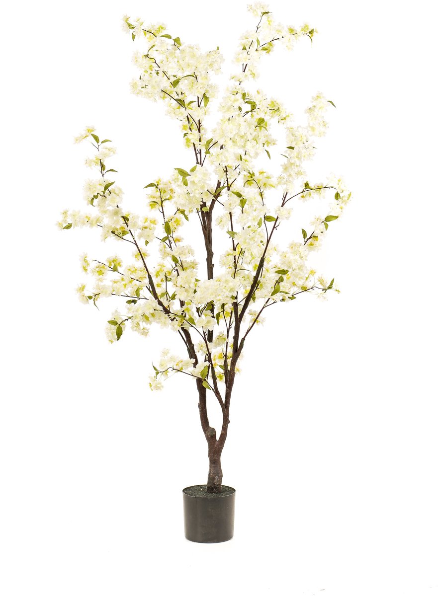 Emerald - Kunstboom Kersenbloesem 175cm wit - Kunstplant voor binnen - Japanse Sakura - Bloesemboom - Cherry Blossom