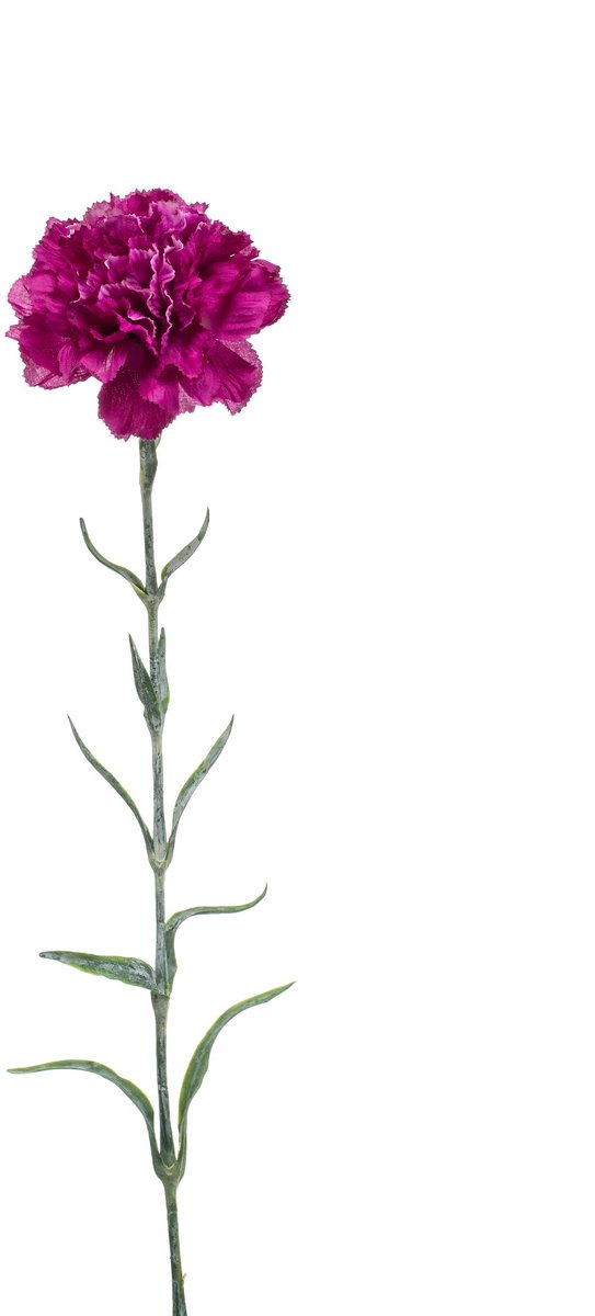 Emerald Kunstbloem Anjer 67cm paars - Kunstplant voor binnen