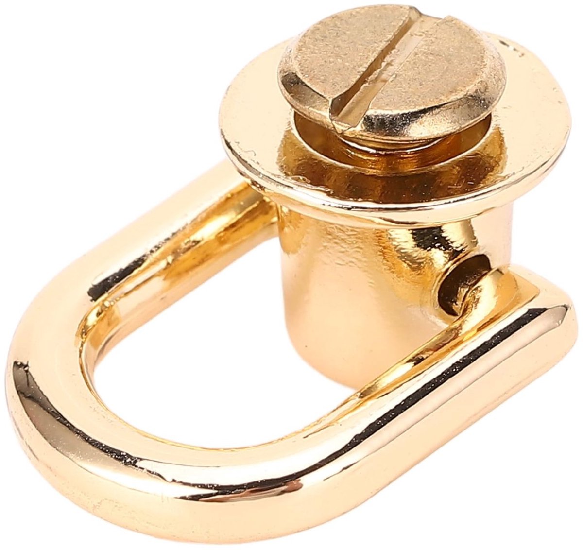 20 robuuste D-ringsluitingen, 16x12mm draaibare bevestigingsschroeven, geschikt voor leer.
