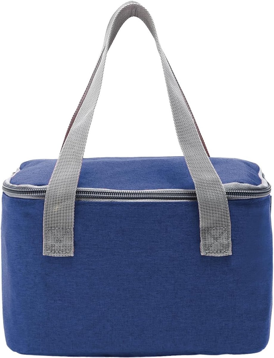 Kleine Koeltas van 4 Liter, Mini Lunch Tas met Geïsoleerd Aluminium Folie, Ideaal voor School, Kantoor en Picknick
