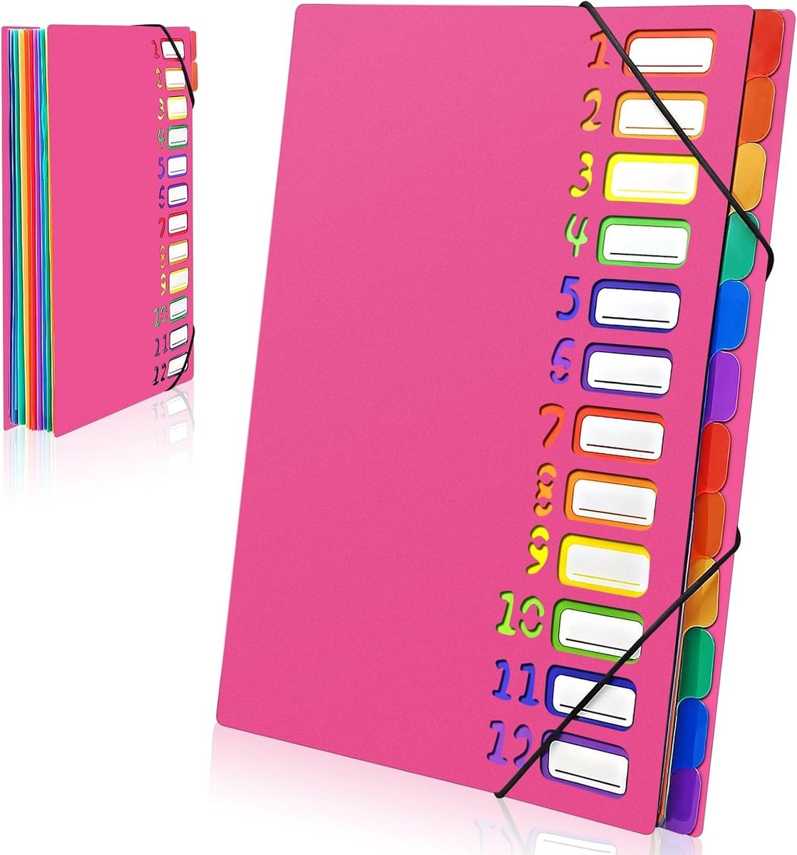 A4 Folders met 12 of 24 Compartimenten, Kleurrijke Waterdichte Documentenmap voor School en Kantoor