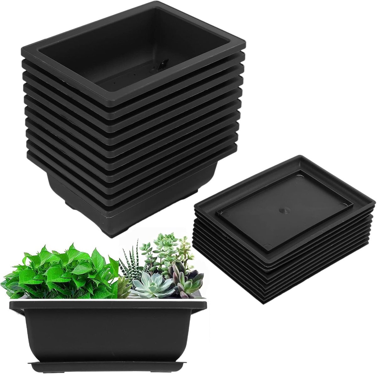 Liseng 10 verpakkingen bonsai trainingspan dienblad kunststof bonsai planten teelt pot voor tuin binnenplaats - ShopVlot