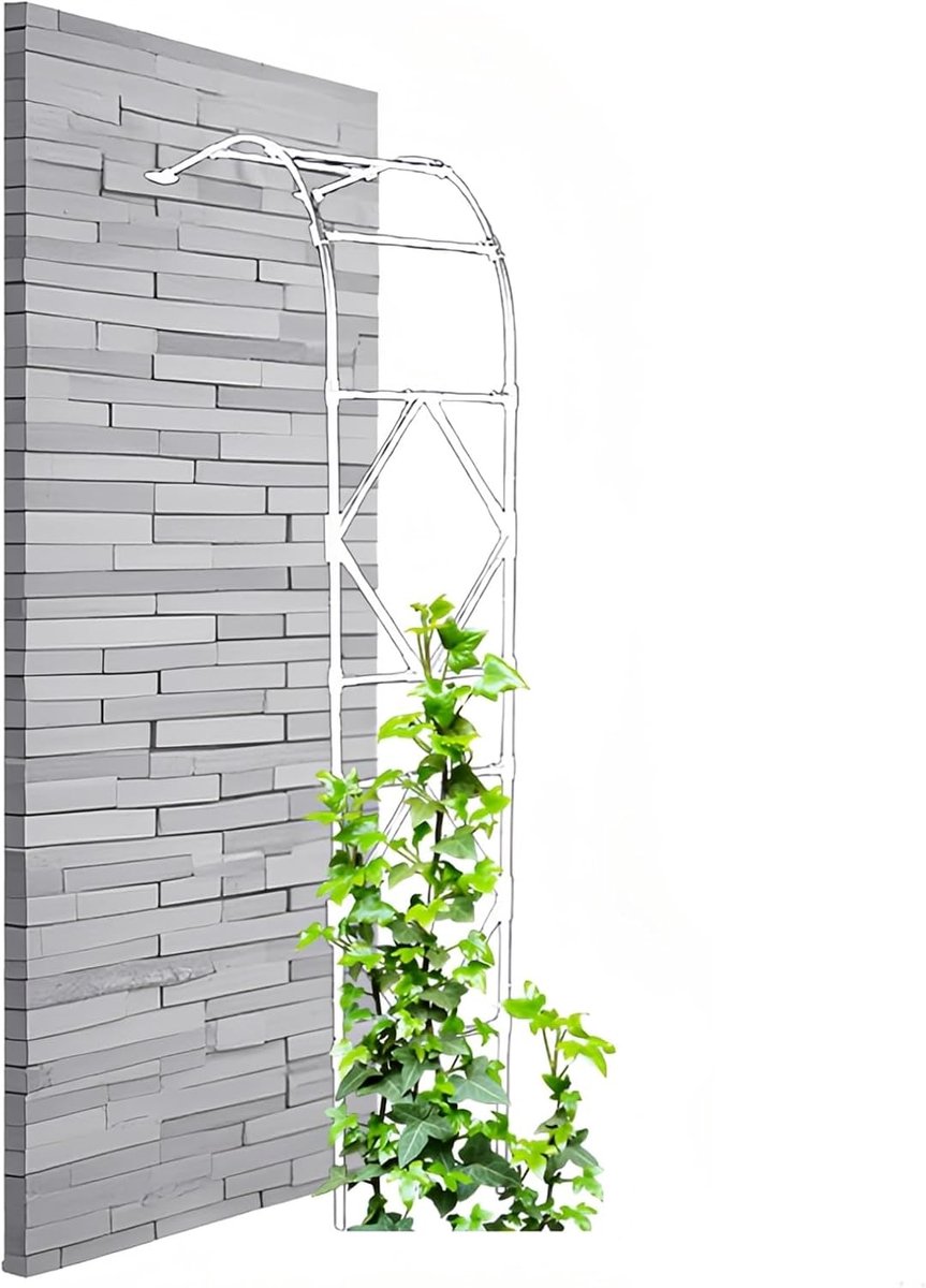 Tuinroos Klimboog - Metalen Bruiloftsboog - Bloemen Ondersteunen - Verstelbaar Ontwerp - 300 x 240 cm - Wit