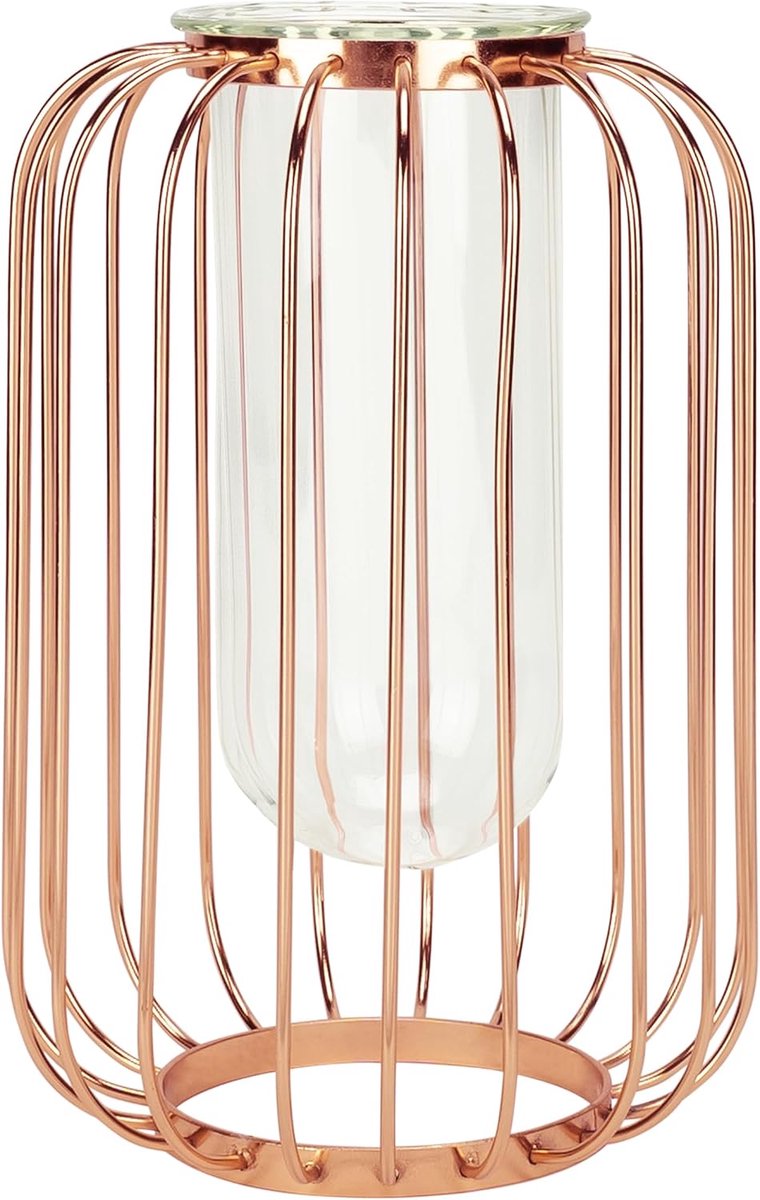 QUVIO Vase with bars - Vases - Decorative accessories - Glass - Metal - Dried flower vase - ShopVlot