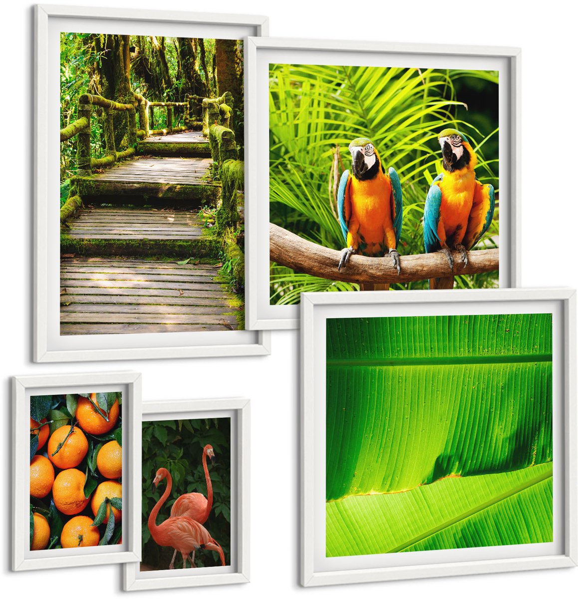 Tulup 4-Delige Schilderij Set - Tropische natuurthema's, exotische vruchten en vogels - 50 x 50 cm, 20 x 30 cm en 40 x 60 cm - Schilderijen Set - Wanddecoratie - Woonkamer - Decoratieve Schilderijen