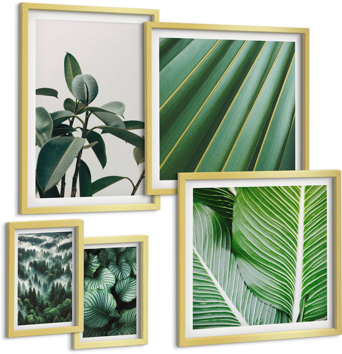 TULUP 5-Delige Schilderij Set - Planteninspiratie in tropische en natuurlijke stijl - 50 x 50 cm, 20 x 30 cm en 40 x 60 cm - Muurdecoratie - Decoratieve Schilderijen - Wohnzimmer - Stijlvolle Muurdecoratie Gouden lijst