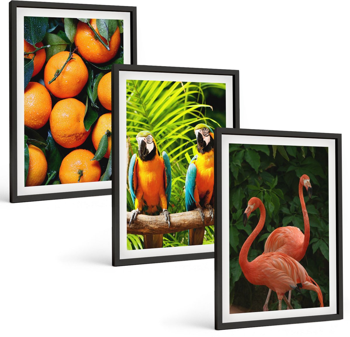 Tulup 4-Delige Schilderij Set - Fruitige accenten met papegaaien en flamingo's in de tropen - 40 x 60 cm - Schilderijen Set - Wanddecoratie - Woonkamer - Stijlvolle Muurdecoratie