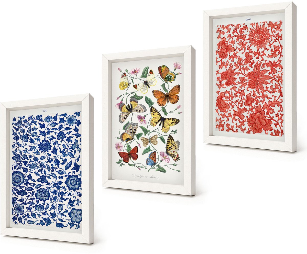 Coloray 3-Delige Schilderij Set - Vintage posters met bloemen, vlinders en ornamenten - 20x30 - Wanddecoratie - Woonkamer Decoratie