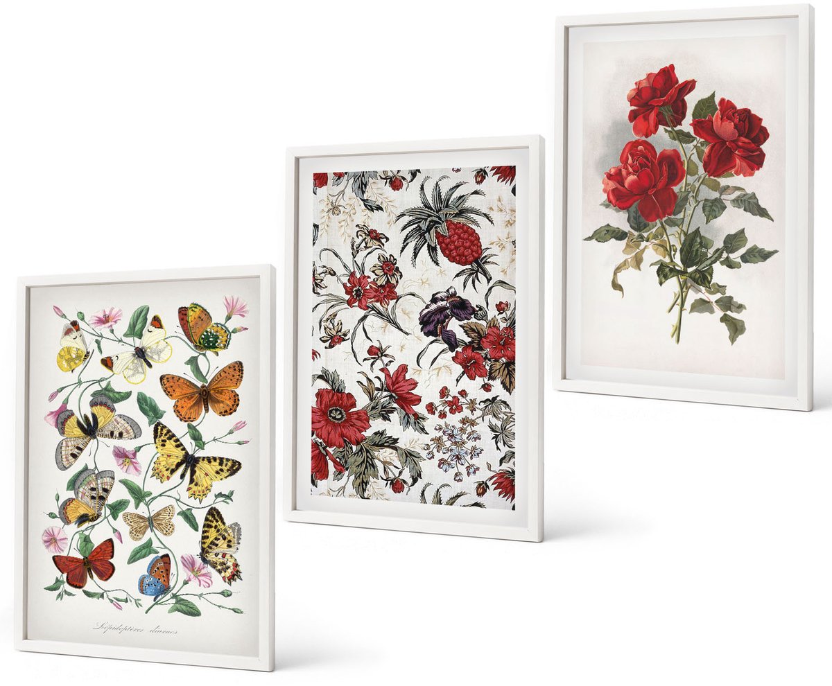 Coloray 3-Delige Schilderij Set - Vlinders, Bloemen En Rode Rozen In Een Klassieke Stijl. - 40 x 60 - Wanddecoratie - Schilderijen Set - Kantoor - Moderne Wanddecoratie