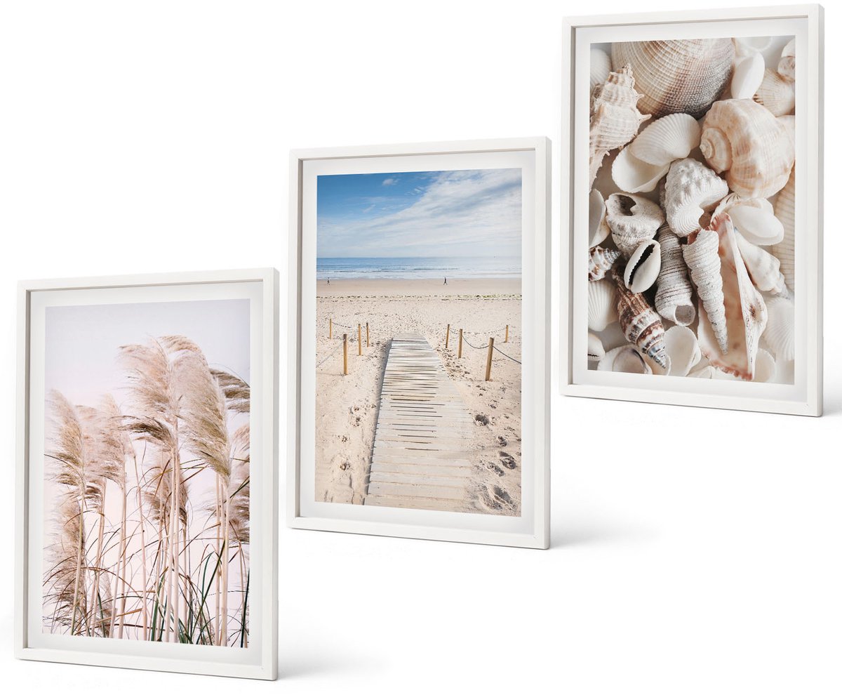 Coloray 3-Delige Schilderij Set - Zandstrand Met Schelpen En Zeegras - 40 x 60 - Muurdecoratie - Wanddecoratie - Hal - Woonkamer Decoratie