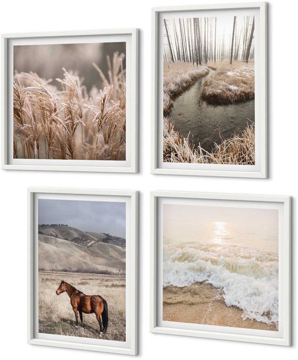 Coloray 4-Delige Schilderij Set - Paardenlandschap Van Zeegrasbos En Beek - 40 x 40 En 40 x 60 - Muurdecoratie - Schilderijen Set - Woonkamer - Stijlvolle Muurdecoratie