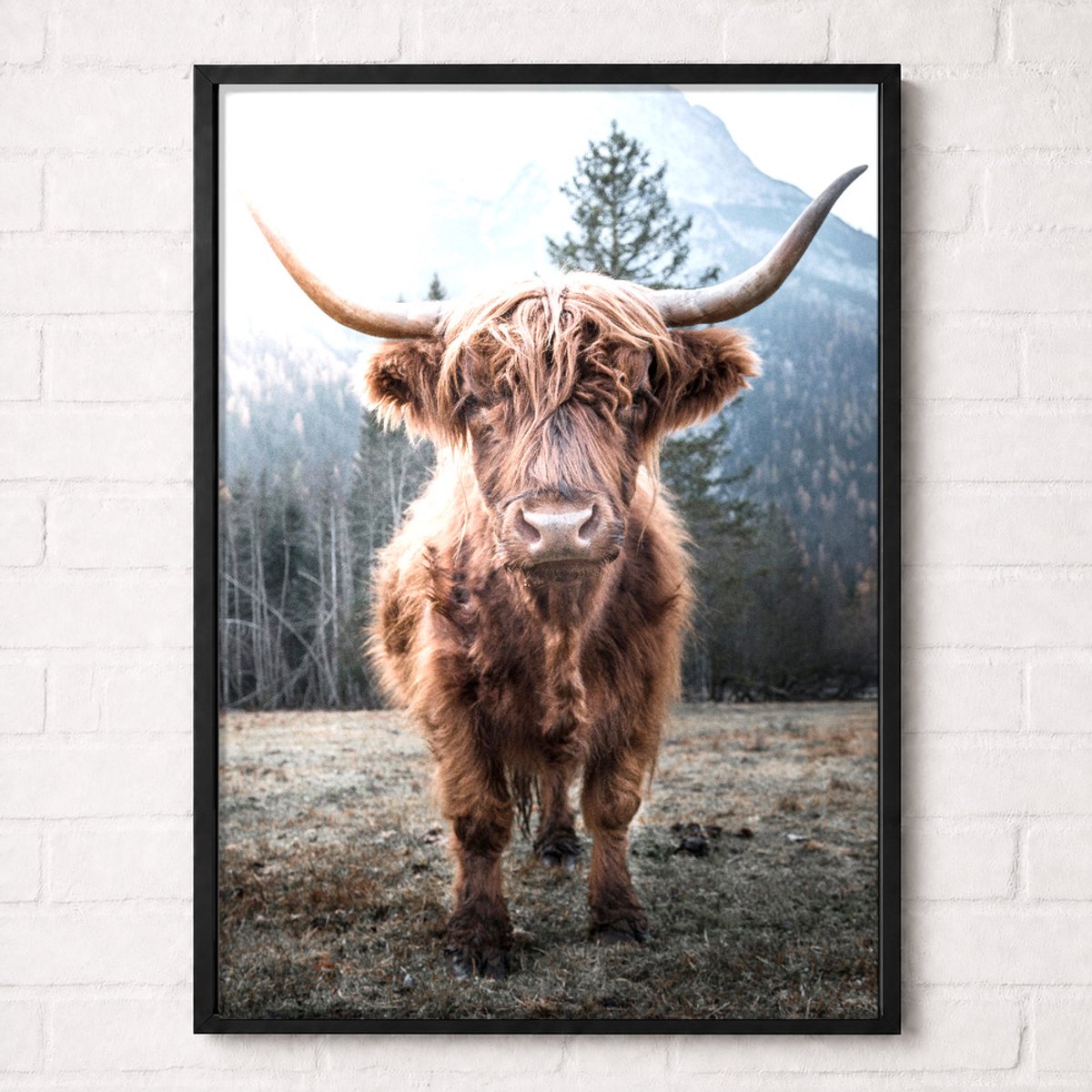 Schotse Hooglander in de Bergen Poster - Nature Animals Collection - Natuur Posters - A1+ 61 x 91,5 cm