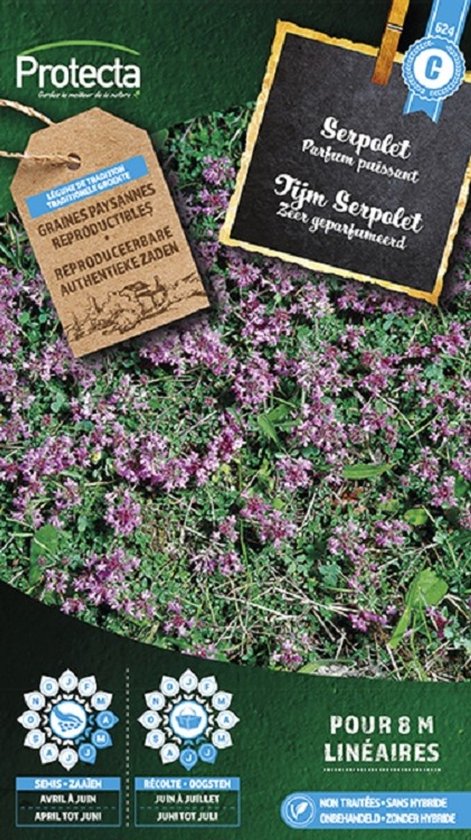 Tijm "Serpolet" PRO624