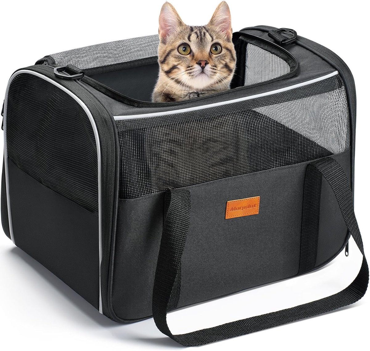 Famanu – Kattentransportbox voor katten en puppy's tot 5 kg, veilige hondentas met ritssluitingen, ideaal voor transport naar de dierenarts of op reis