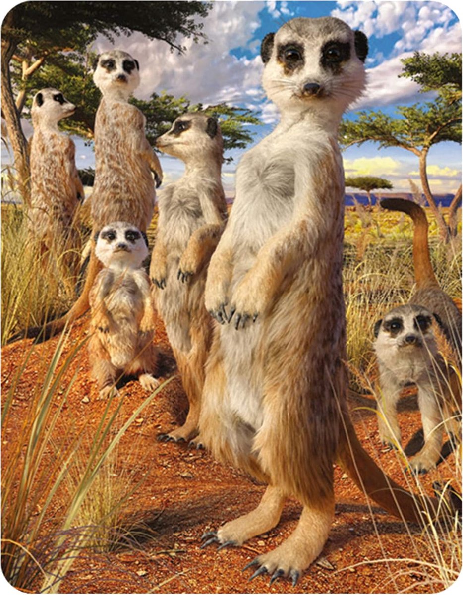 3D LiveLife Magnet - Meerkat Tin by Deluxebase. Lenticular 3D Safari Fridge Magnet Magnetic Decor for Children and - ShopVlot