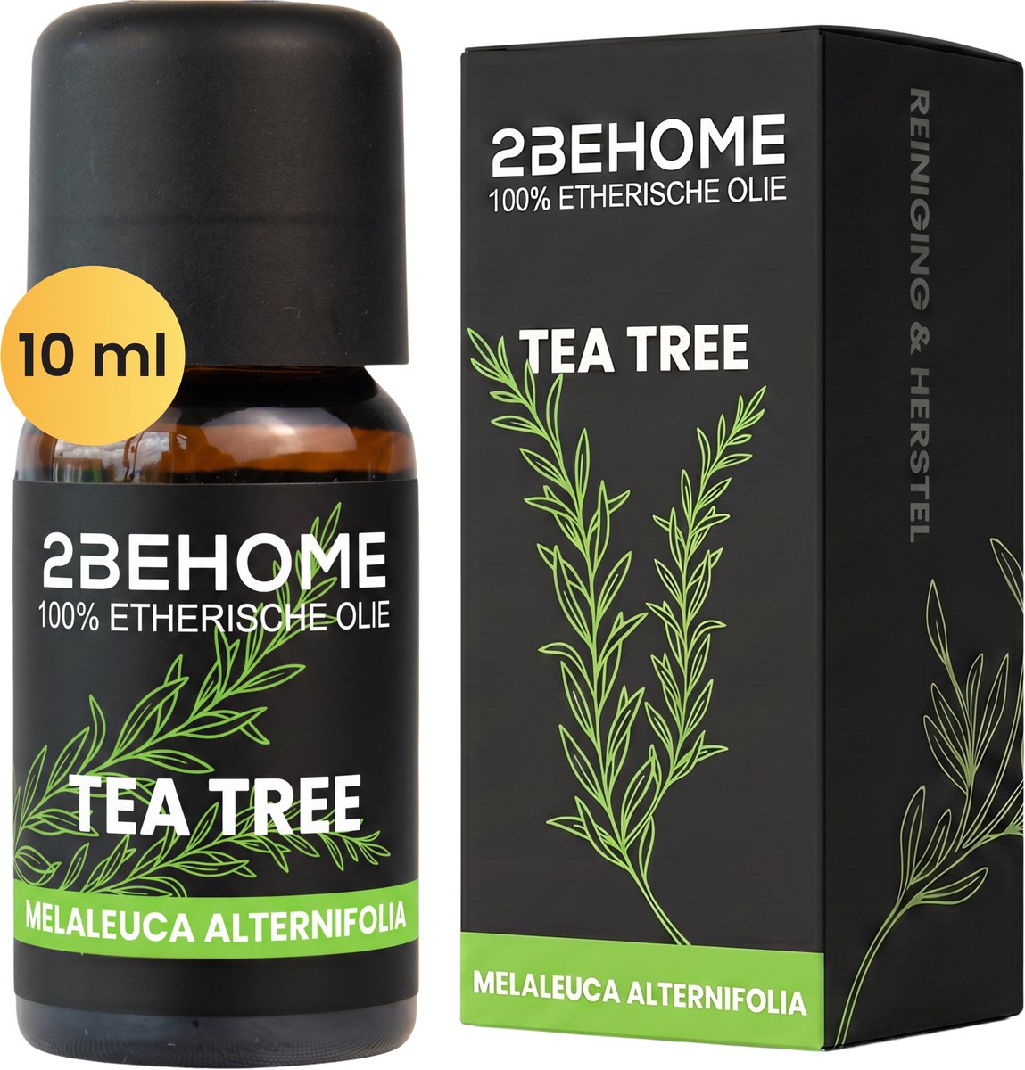 2BEHOME Etherische Olie Tea Tree - 10 ML - 1 Stuk - Essentiële olie voor Aromatherapie - Essential oil - Geurolie voor Aromadiffuser