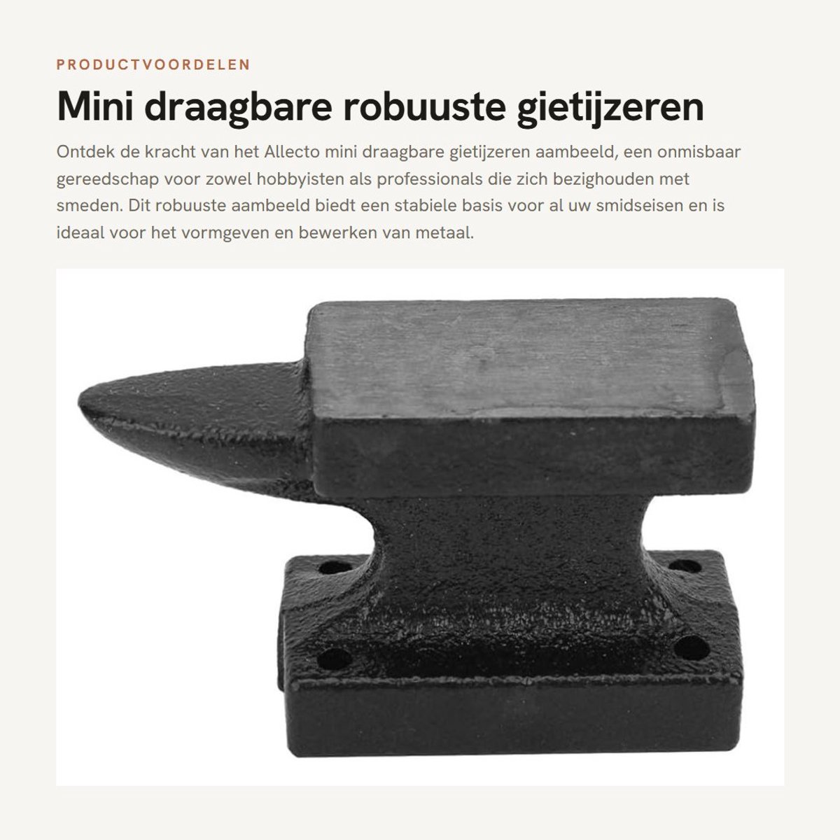 Dailygoods- Aambeeld Mini Draagbaar - Robuust Gietijzeren Aambeeld - Stabiele Werkbank - Smid Gereedschap - Hoogwaardige Kwaliteit - Ideaal voor Industrie - Smidse
