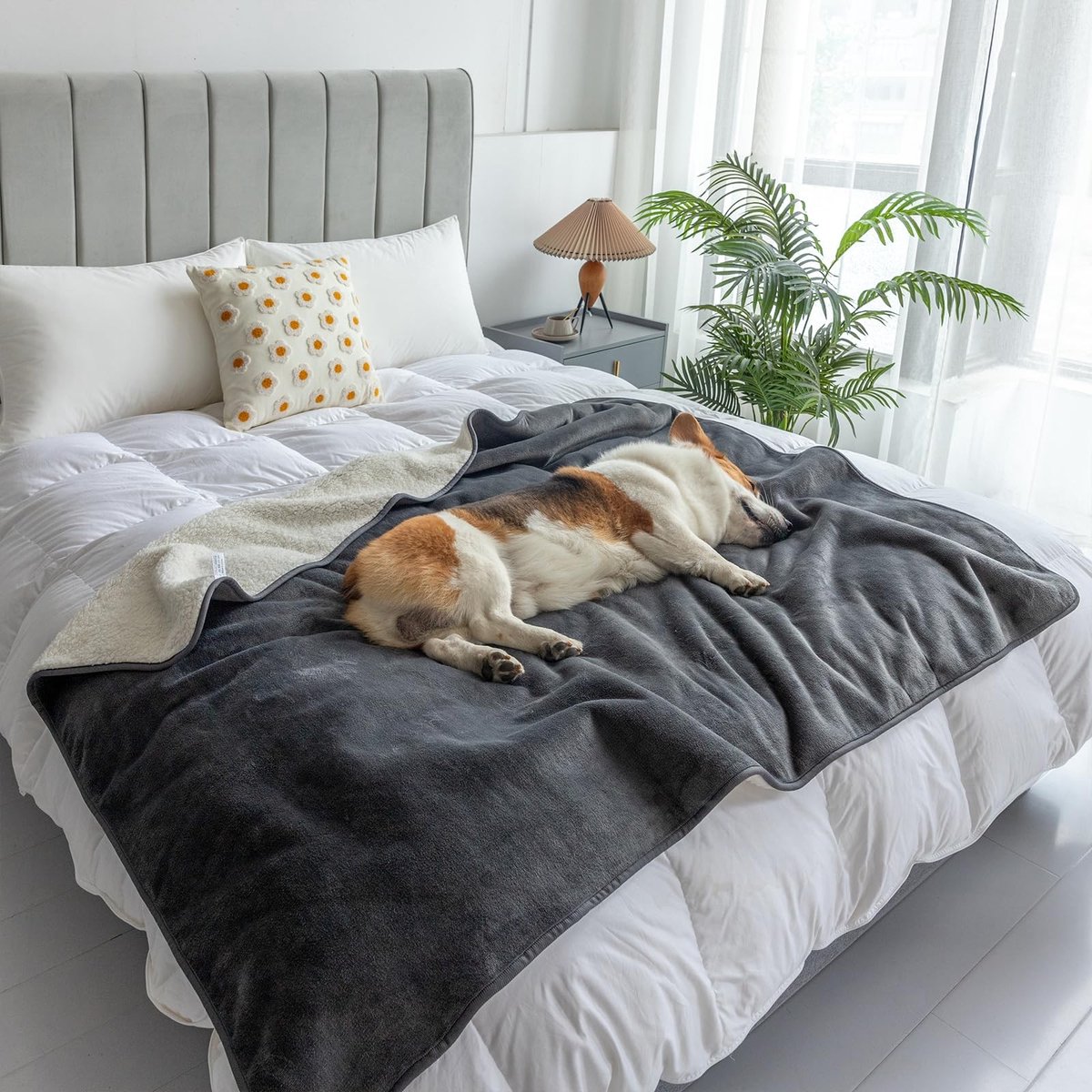 Dailygoods- Fleece Deken Waterdicht - Huisdierdeken - Omkeerbaar - Zachte Pluche - Bescherming tegen Vlekken - Sterke Duurzaamheid