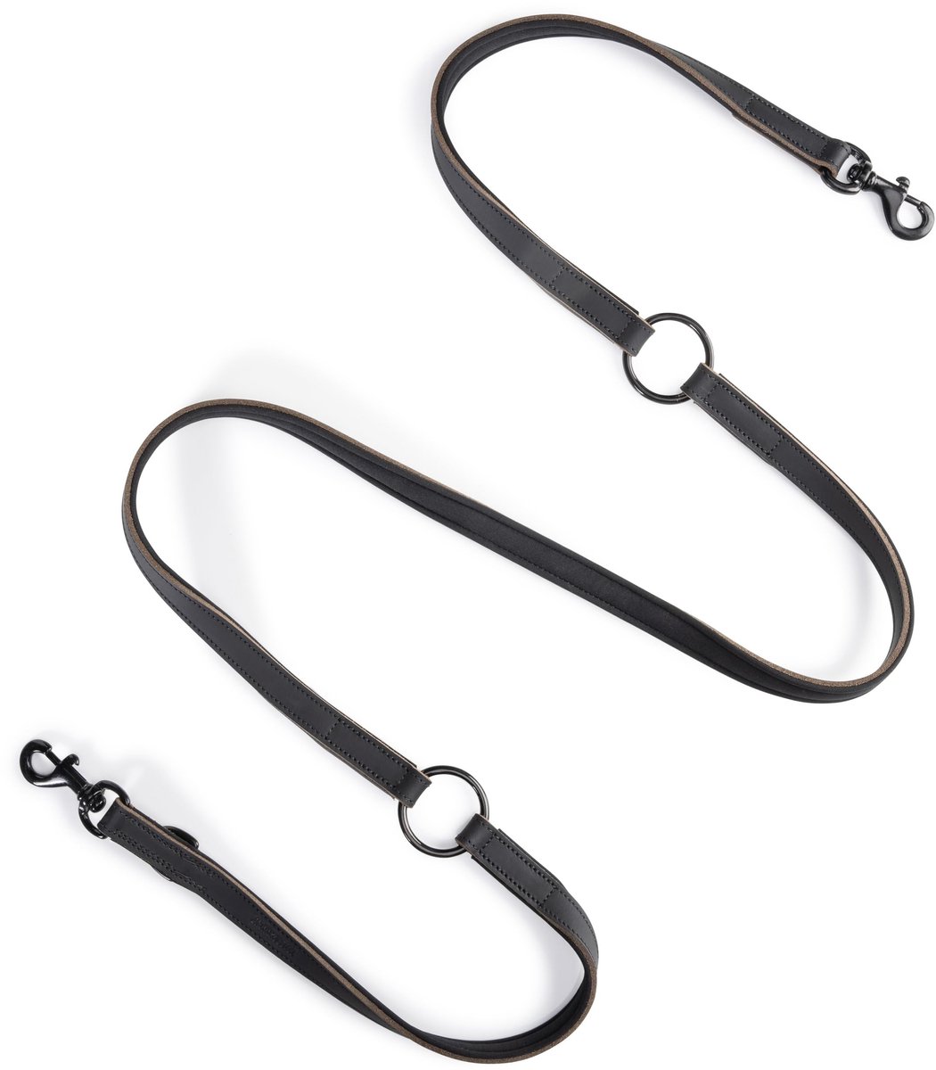 Dailygoods - Hondenriem van leer 2,0m - Premium hondenlijn met verstelbare lengte
