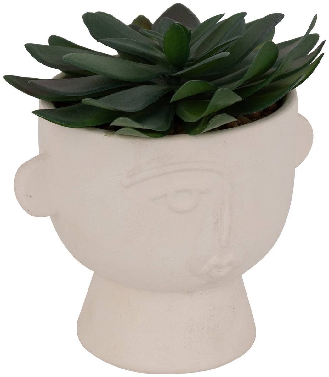 Kunstplant DUSTY