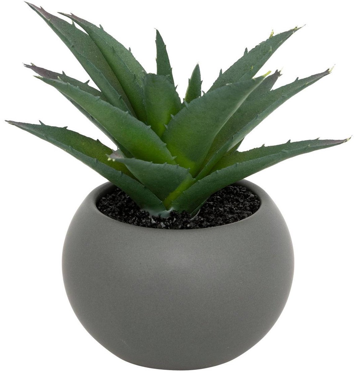 Vetplant in pot ANDA