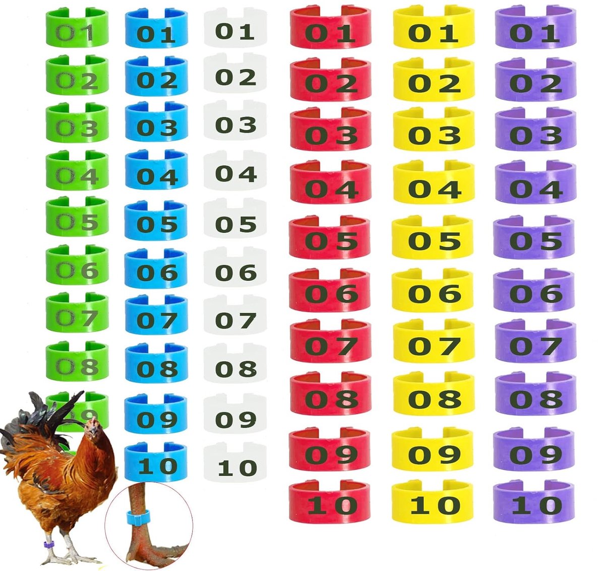 Mivofun 60pcs Chicken Leg Rings Poultry Band 16mm 20mm Clip on Plastic Round Identification Bands for Ducks Seabirds - ShopVlot