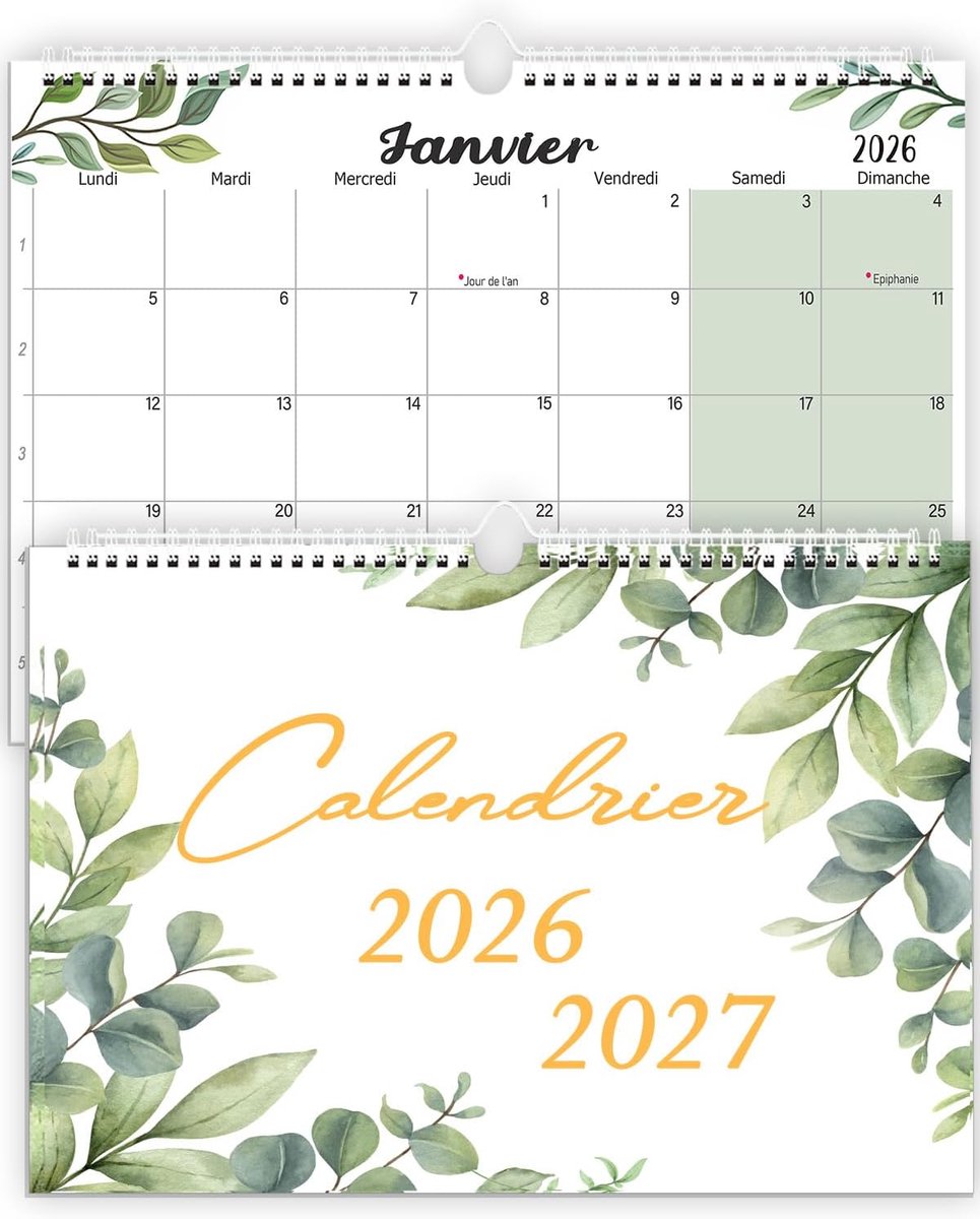 UK 2025 2026 maand om te bekijken, 25 januari tot 26 juni (18 maanden), gezinskalender voor eenvoudige en efficiënte planning, gezinsplanner