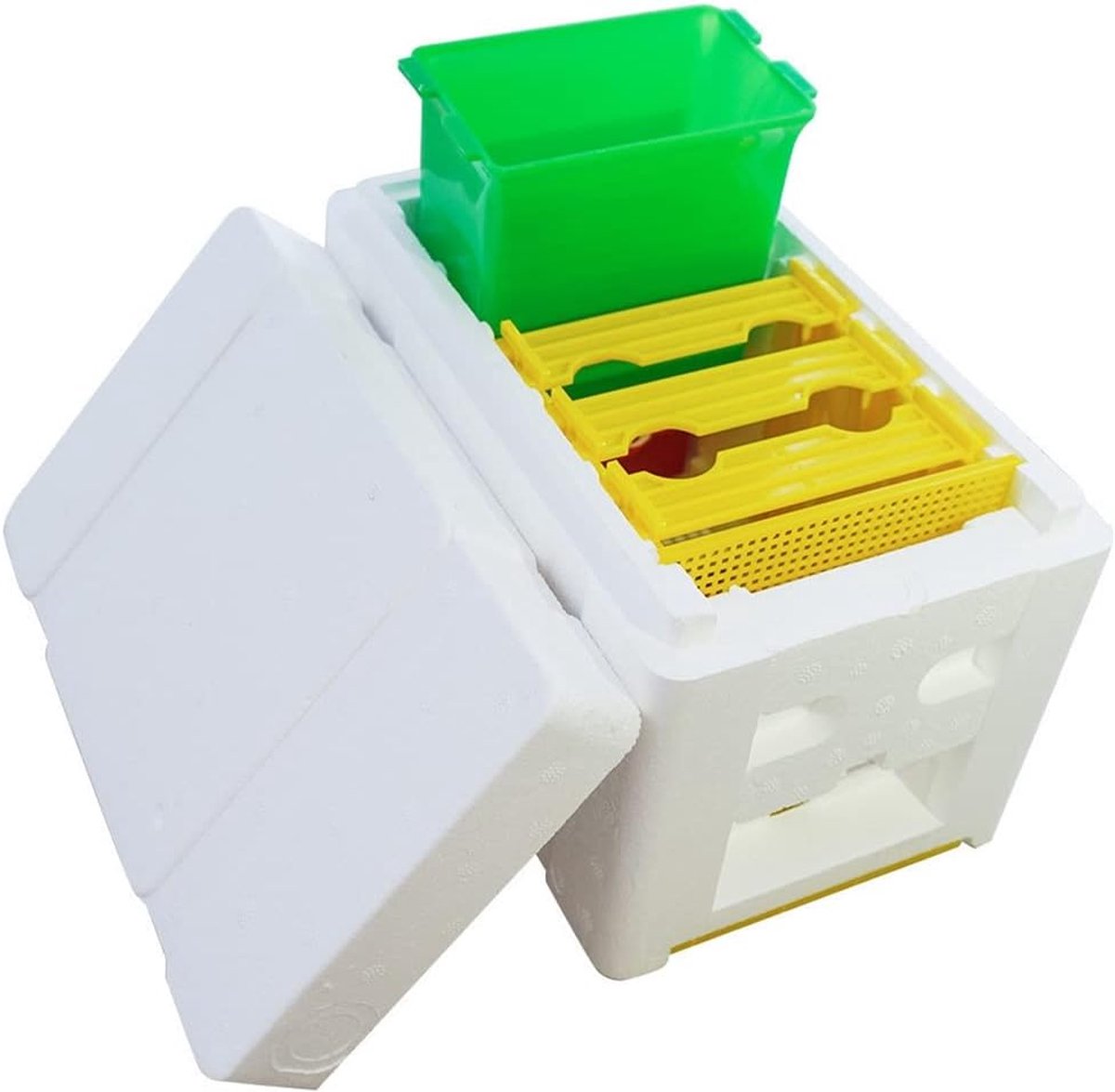 Mini Bee Paring Nuc Box Queen Bee Fokken Doos Bestuiving Doos Schuim Frames Bijenteelt Tool Bijenteelt Apparatuur Paring Nucs Bijenkorf Imker Levert
