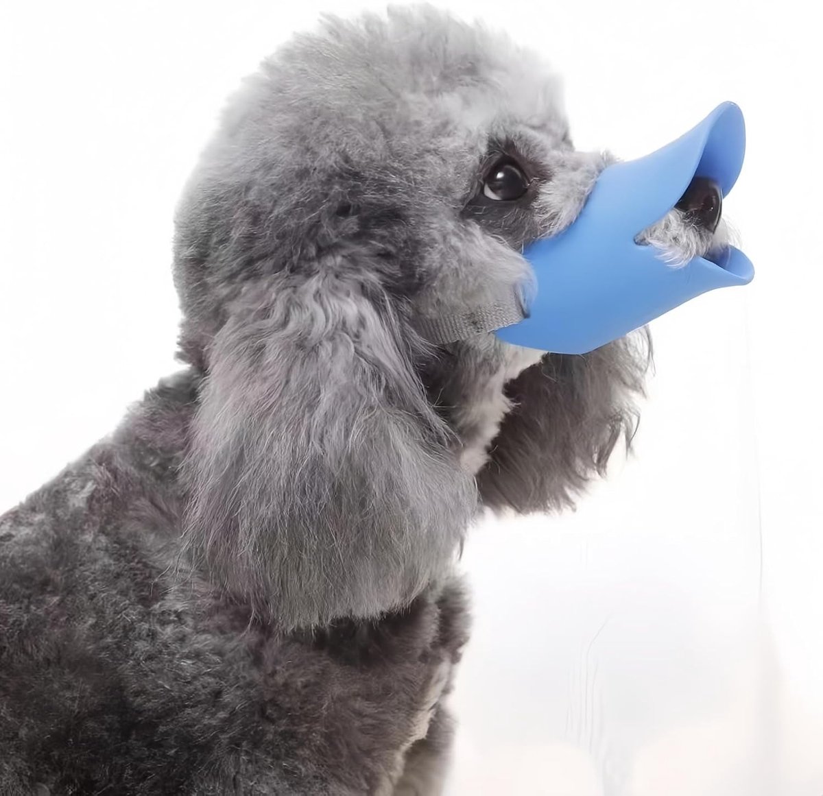 anti-bijt, siliconen, eendenbek, eendendvorm, hond, muilkorf, anti-roep muilkorf voor puppy's, honden, blauw, kleur S