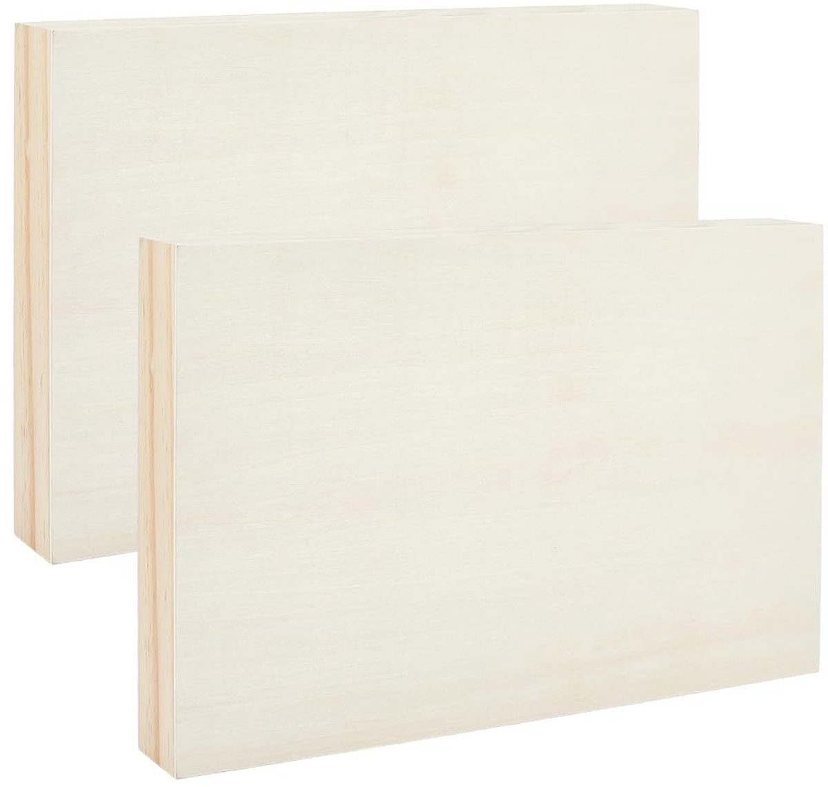 Omgoods - Set van 3 Houten Canvasplaten voor Kunstprojecten