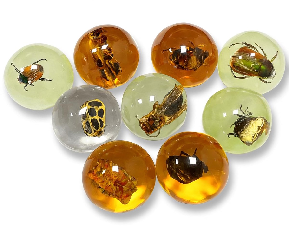 9 pcs insect amber fossils, amber fossils in spherical shape, various insect specimens, resin-preserved insects - ShopVlot